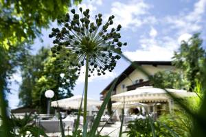 Lassen Sie sich von der wunderschönen Naturlandschaft rund um das Adults-Only-Hotel Völser Hof verzaubern.
